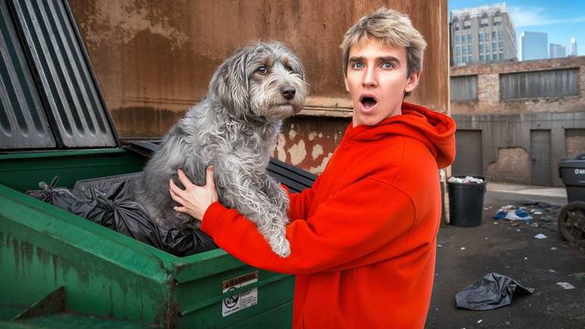 Found A Lost Dog In A Dumpster!